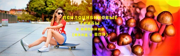 ГАЛЛЮЦИНОГЕННЫЕ ГРИБЫ Богородицк