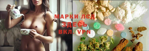 ГАЛЛЮЦИНОГЕННЫЕ ГРИБЫ Богородск