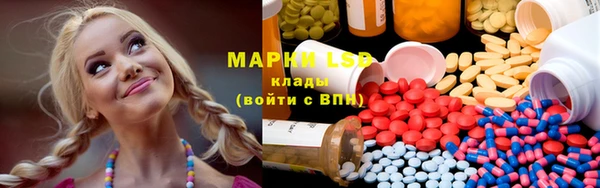 PSILOCYBIN Богданович