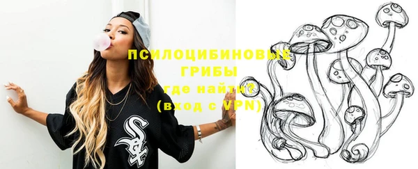 PSILOCYBIN Богданович
