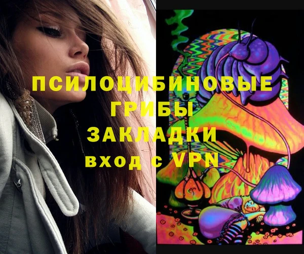 ГАЛЛЮЦИНОГЕННЫЕ ГРИБЫ Богородицк