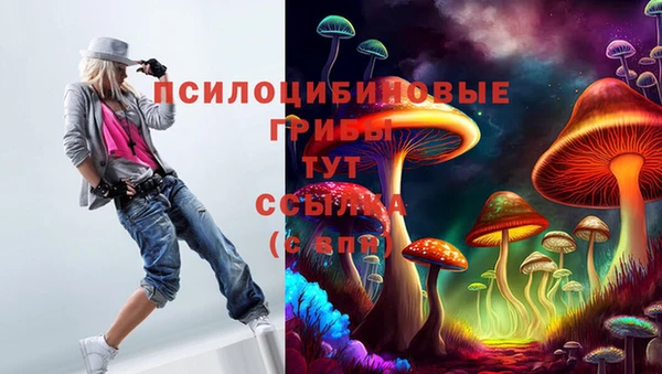 ГАЛЛЮЦИНОГЕННЫЕ ГРИБЫ Богородицк