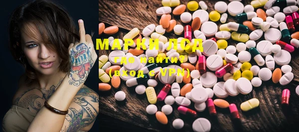 PSILOCYBIN Богданович