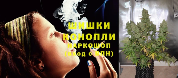 PSILOCYBIN Богданович