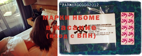 ГАЛЛЮЦИНОГЕННЫЕ ГРИБЫ Богородицк