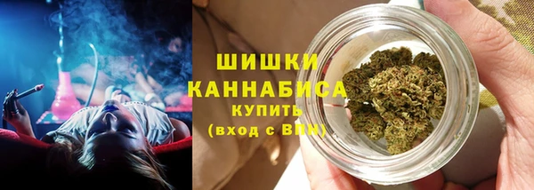 PSILOCYBIN Богданович