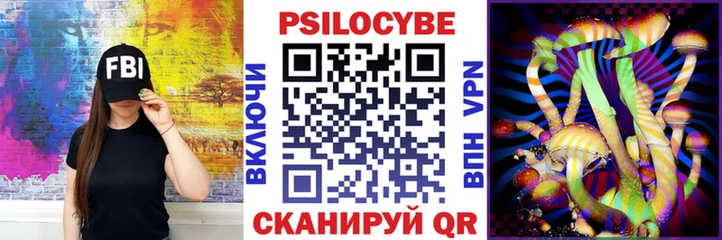 Псилоцибиновые грибы Psilocybe  Вязьма 